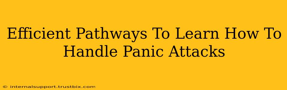 Efficient Pathways To Learn How To Handle Panic Attacks