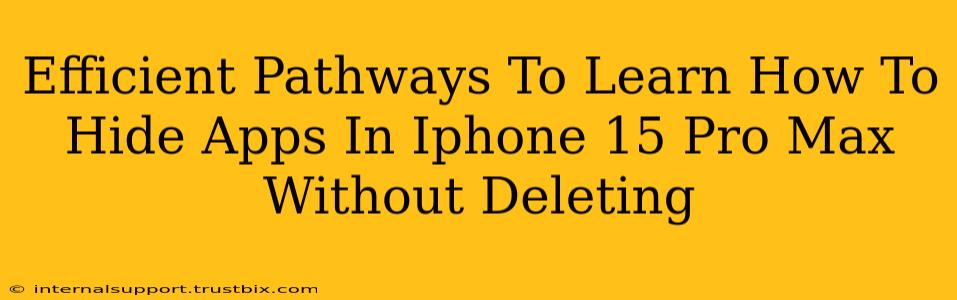 Efficient Pathways To Learn How To Hide Apps In Iphone 15 Pro Max Without Deleting