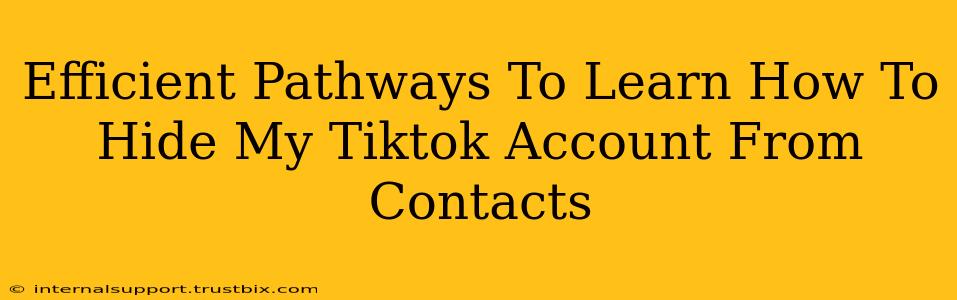 Efficient Pathways To Learn How To Hide My Tiktok Account From Contacts