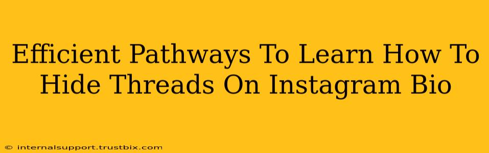 Efficient Pathways To Learn How To Hide Threads On Instagram Bio