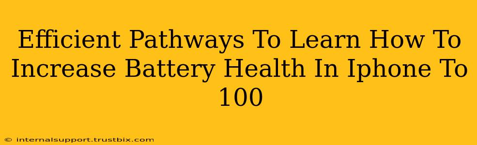 Efficient Pathways To Learn How To Increase Battery Health In Iphone To 100