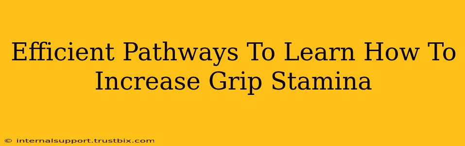 Efficient Pathways To Learn How To Increase Grip Stamina