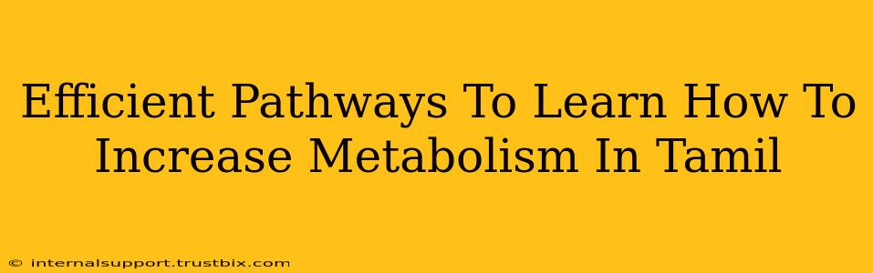 Efficient Pathways To Learn How To Increase Metabolism In Tamil