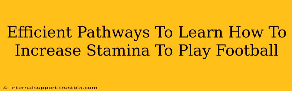 Efficient Pathways To Learn How To Increase Stamina To Play Football