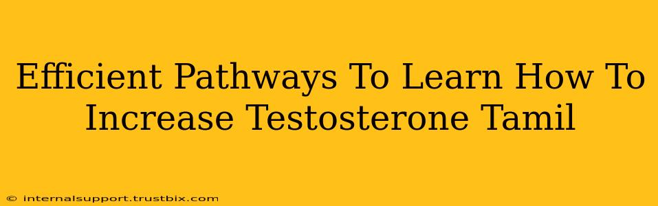 Efficient Pathways To Learn How To Increase Testosterone Tamil