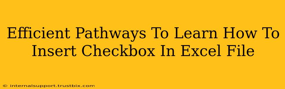 Efficient Pathways To Learn How To Insert Checkbox In Excel File