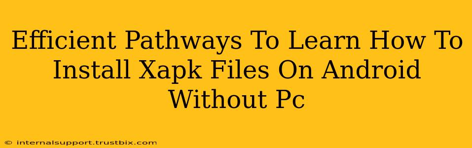 Efficient Pathways To Learn How To Install Xapk Files On Android Without Pc