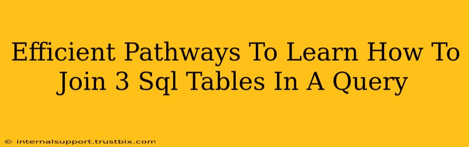 Efficient Pathways To Learn How To Join 3 Sql Tables In A Query