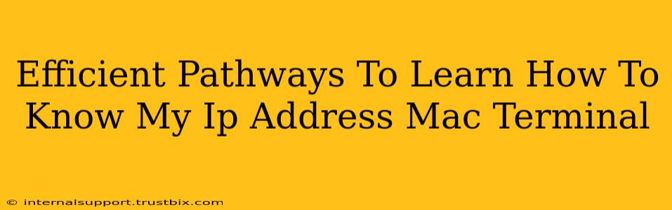 Efficient Pathways To Learn How To Know My Ip Address Mac Terminal