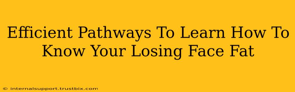 Efficient Pathways To Learn How To Know Your Losing Face Fat