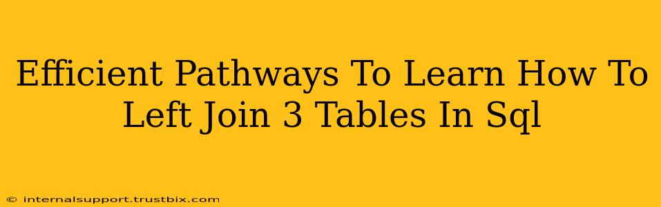 Efficient Pathways To Learn How To Left Join 3 Tables In Sql