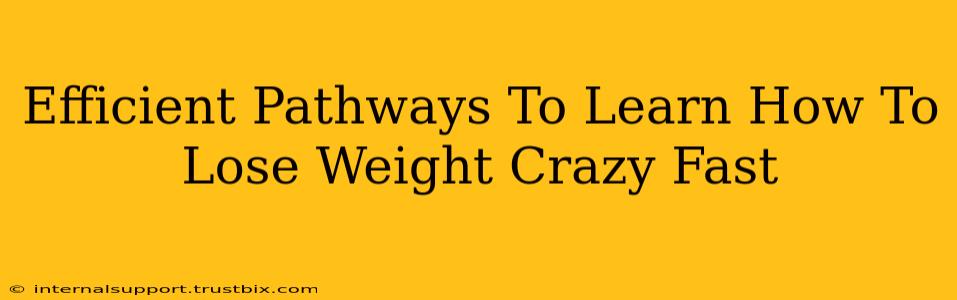 Efficient Pathways To Learn How To Lose Weight Crazy Fast