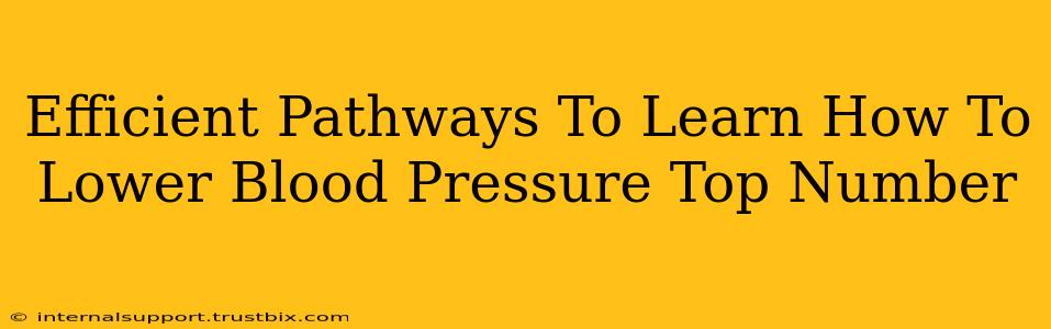 Efficient Pathways To Learn How To Lower Blood Pressure Top Number