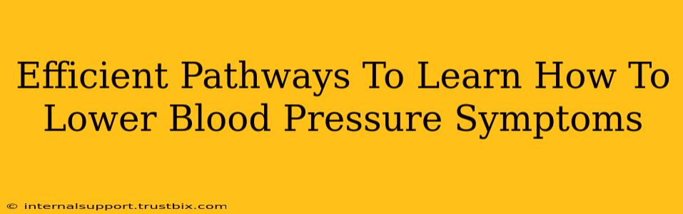 Efficient Pathways To Learn How To Lower Blood Pressure Symptoms