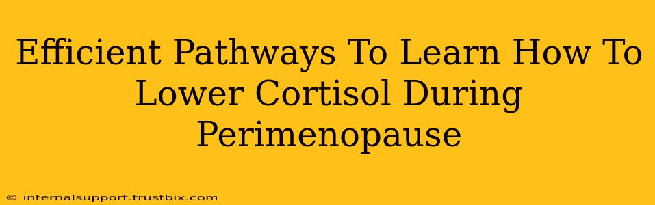 Efficient Pathways To Learn How To Lower Cortisol During Perimenopause