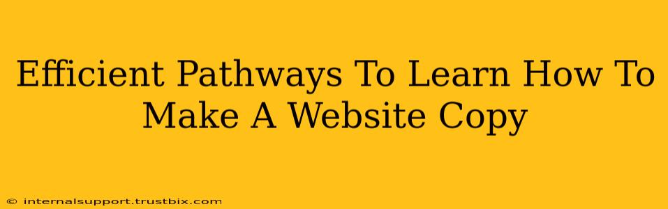 Efficient Pathways To Learn How To Make A Website Copy