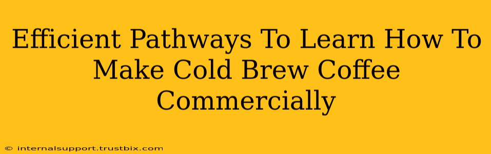 Efficient Pathways To Learn How To Make Cold Brew Coffee Commercially