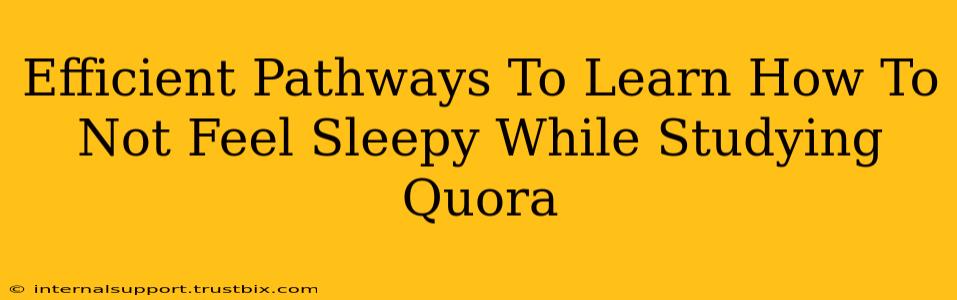 Efficient Pathways To Learn How To Not Feel Sleepy While Studying Quora