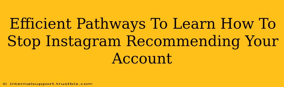 Efficient Pathways To Learn How To Stop Instagram Recommending Your Account