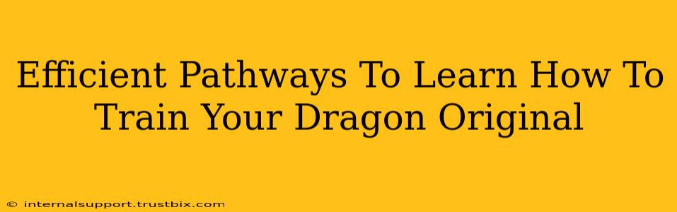 Efficient Pathways To Learn How To Train Your Dragon Original