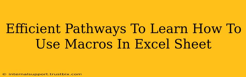 Efficient Pathways To Learn How To Use Macros In Excel Sheet