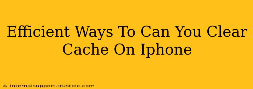 Efficient Ways To Can You Clear Cache On Iphone