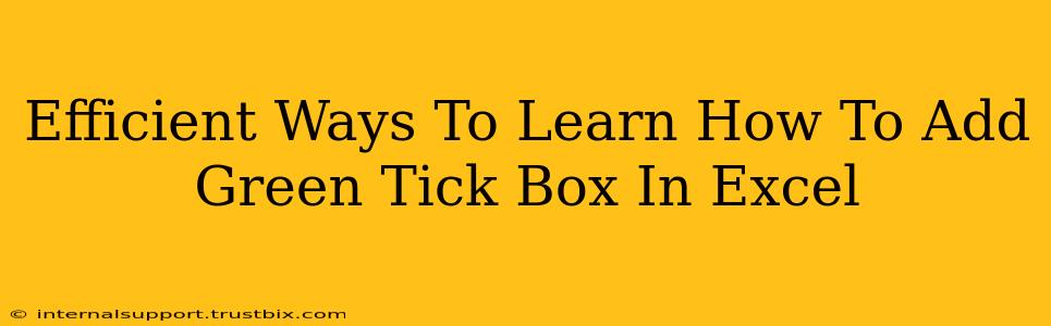 Efficient Ways To Learn How To Add Green Tick Box In Excel