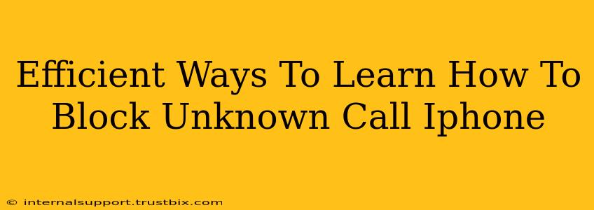 Efficient Ways To Learn How To Block Unknown Call Iphone