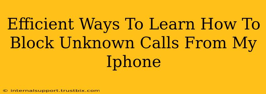 Efficient Ways To Learn How To Block Unknown Calls From My Iphone