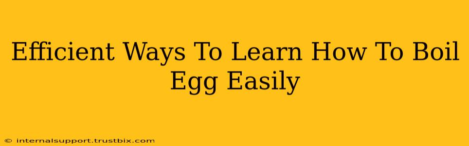 Efficient Ways To Learn How To Boil Egg Easily