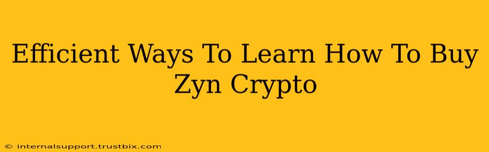 Efficient Ways To Learn How To Buy Zyn Crypto