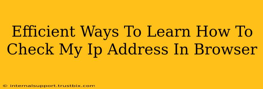 Efficient Ways To Learn How To Check My Ip Address In Browser