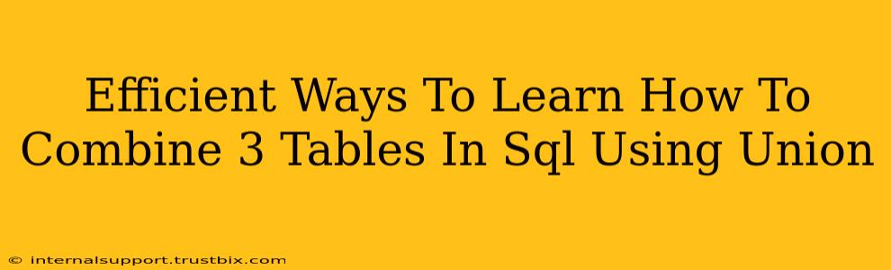 Efficient Ways To Learn How To Combine 3 Tables In Sql Using Union