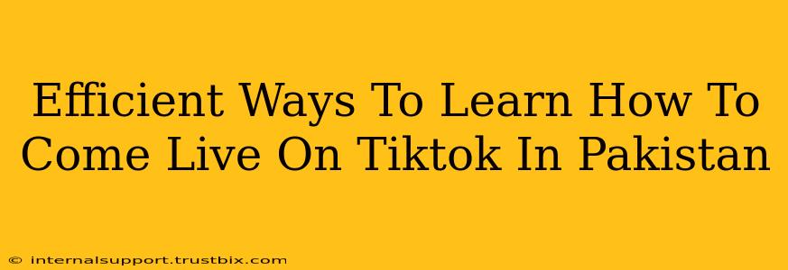 Efficient Ways To Learn How To Come Live On Tiktok In Pakistan