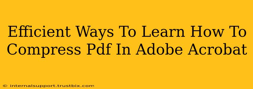 Efficient Ways To Learn How To Compress Pdf In Adobe Acrobat