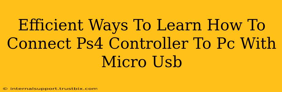 Efficient Ways To Learn How To Connect Ps4 Controller To Pc With Micro Usb