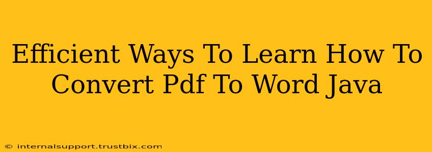 Efficient Ways To Learn How To Convert Pdf To Word Java