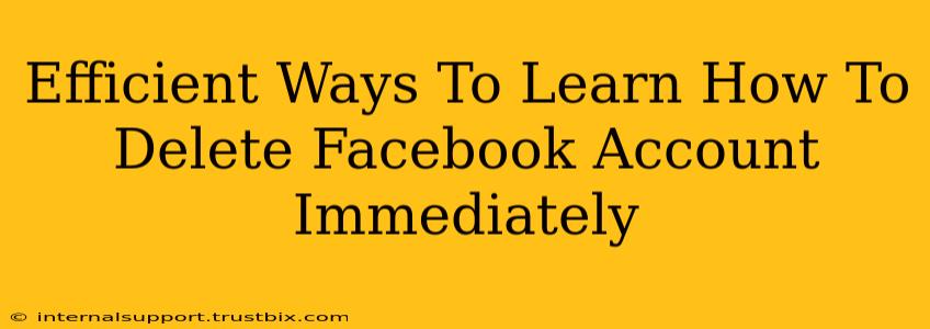 Efficient Ways To Learn How To Delete Facebook Account Immediately