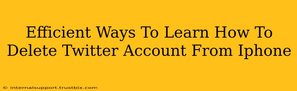 Efficient Ways To Learn How To Delete Twitter Account From Iphone