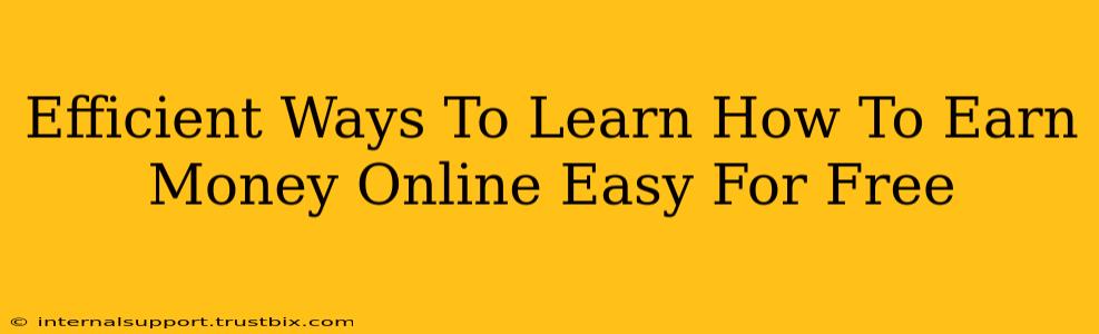 Efficient Ways To Learn How To Earn Money Online Easy For Free