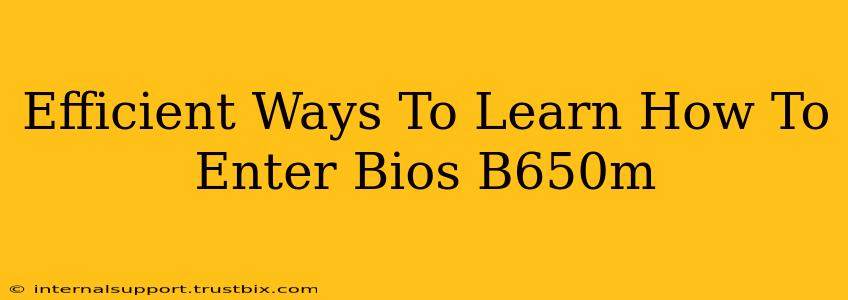 Efficient Ways To Learn How To Enter Bios B650m