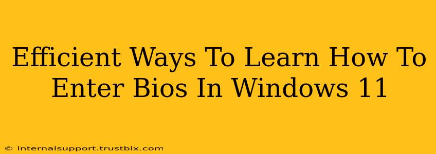 Efficient Ways To Learn How To Enter Bios In Windows 11