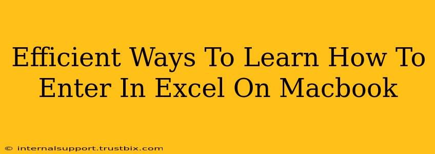 Efficient Ways To Learn How To Enter In Excel On Macbook