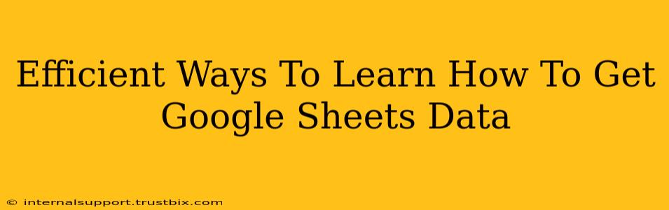 Efficient Ways To Learn How To Get Google Sheets Data