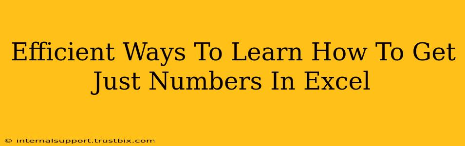 Efficient Ways To Learn How To Get Just Numbers In Excel