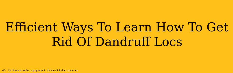 Efficient Ways To Learn How To Get Rid Of Dandruff Locs