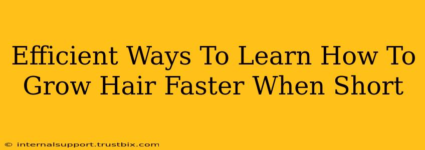 Efficient Ways To Learn How To Grow Hair Faster When Short