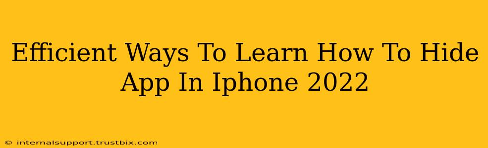 Efficient Ways To Learn How To Hide App In Iphone 2022