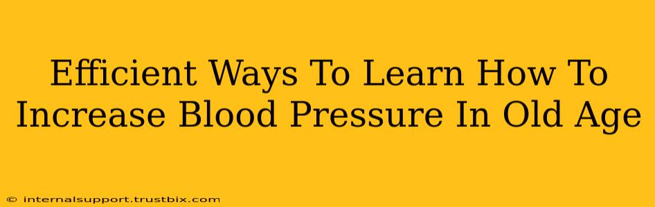 Efficient Ways To Learn How To Increase Blood Pressure In Old Age