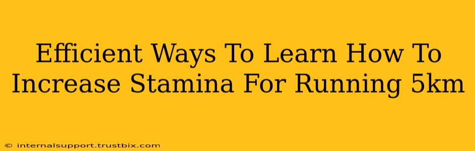 Efficient Ways To Learn How To Increase Stamina For Running 5km